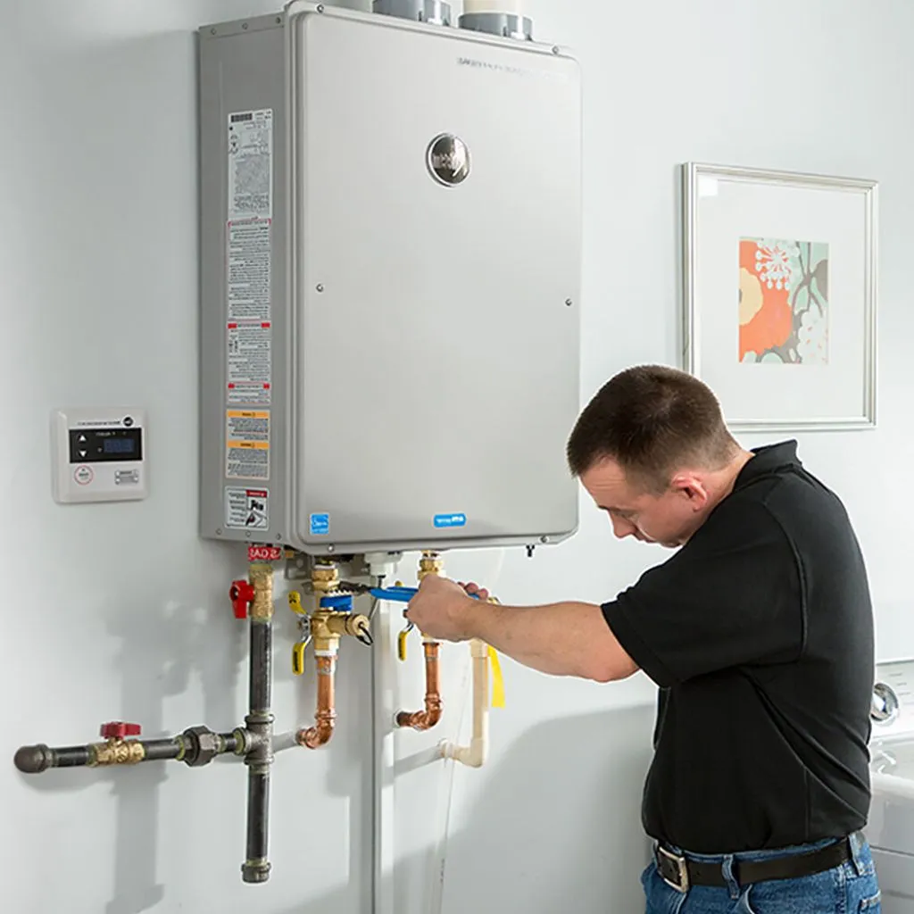 tankless water heater repair in Lampe, MO